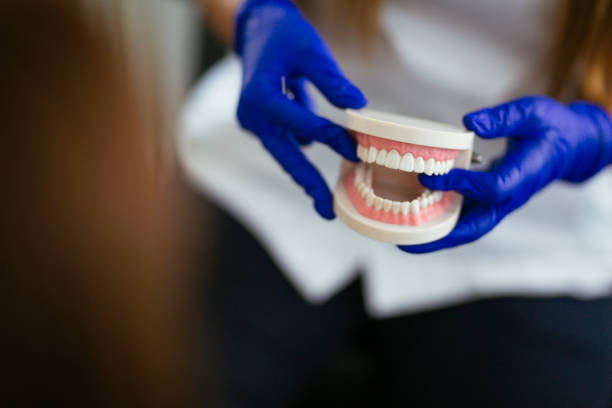 Best Traditional Braces  in Key Vista, FL